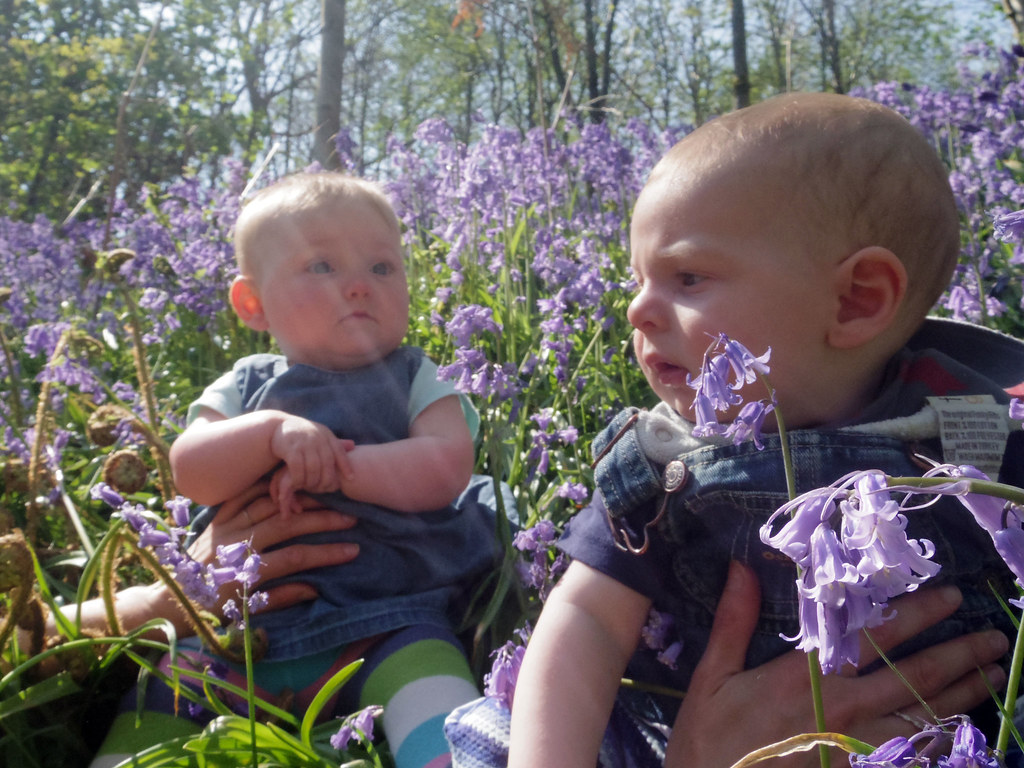 IMGP4558 Virginia Cummins Flickr