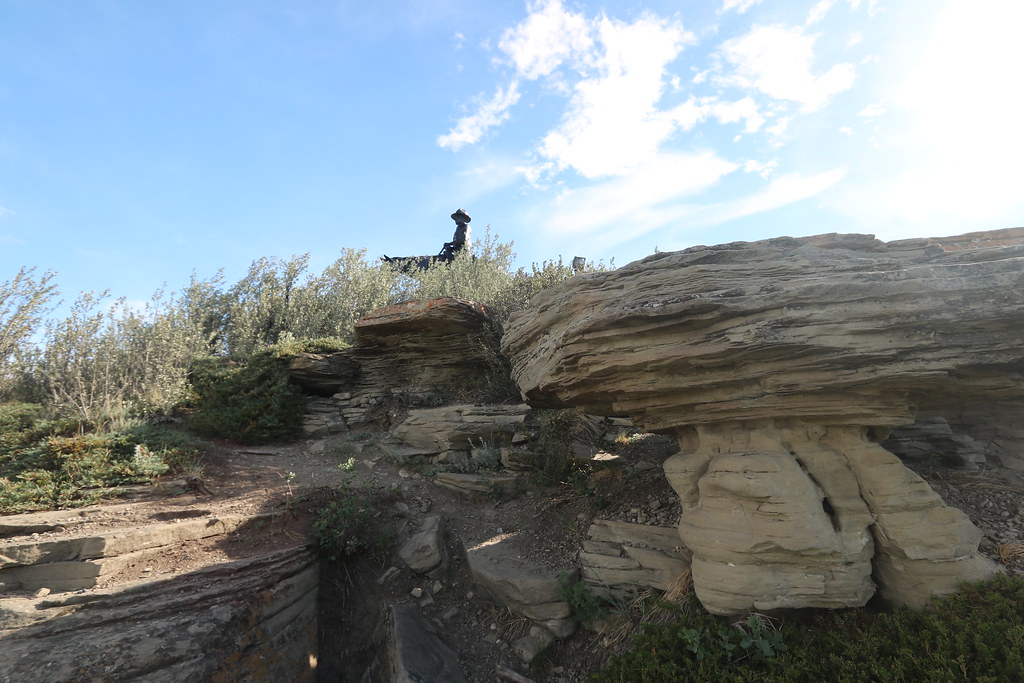 Elevation of 16 Paint Horse Dr, Cochrane, AB T0L, Canada Topographic