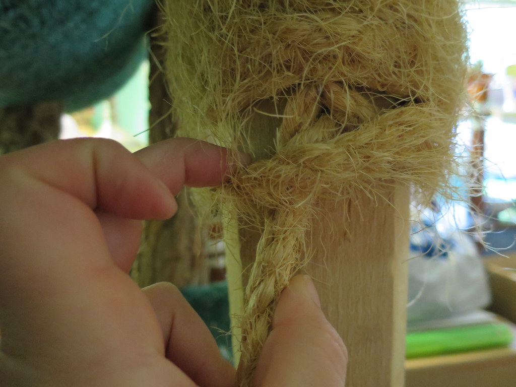 IMG_0489 Erin O'Reilly Flickr