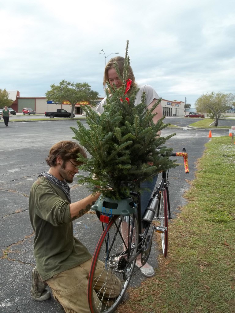 Christmas Trees in Melbourne, Florida There's more than on… Flickr