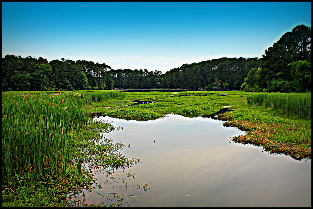Lake Guntersville My hometown, Lake Guntersville in Northe… Flickr
