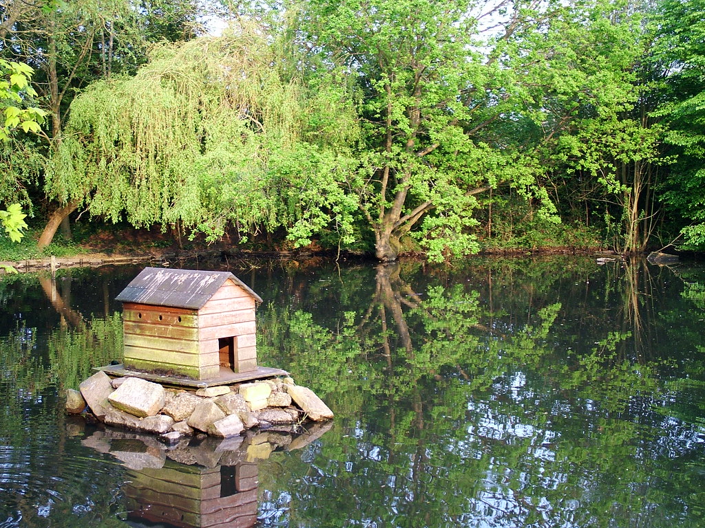 Duck house on Holmer Green pond23May2012Stuart King Flickr