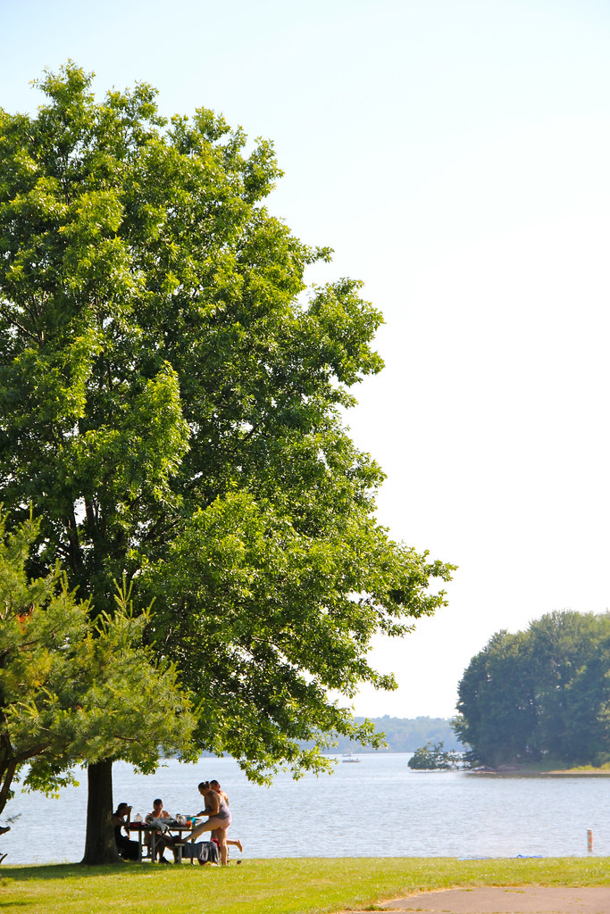 Linesville Beach Pymatuning State Park, Pennsylvania daveynin