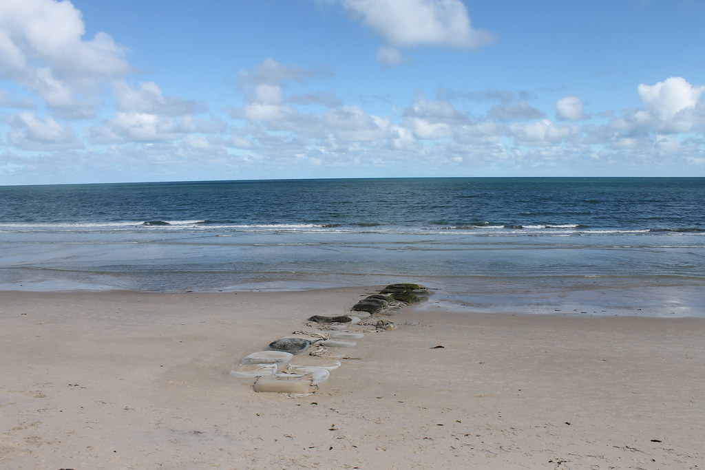 Somerton Beach geotextile groyne Blacks2012 Flickr