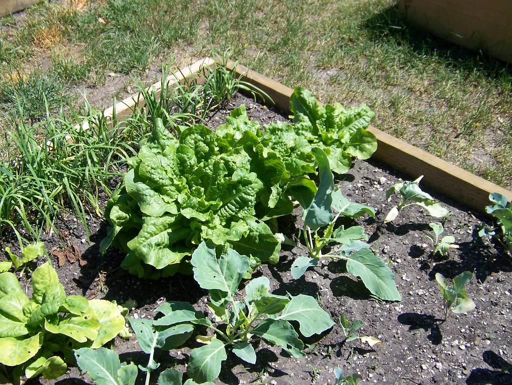 100_2742 Rainbow Des Moines Flickr