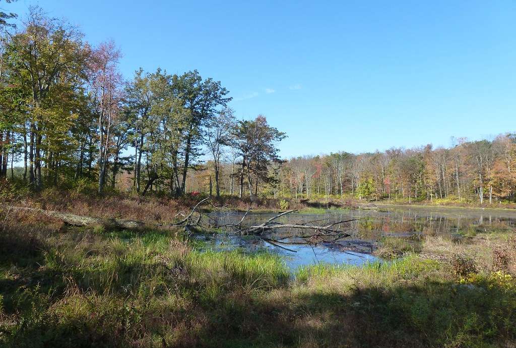 P1020577 Early fall colors at Sawmill lake. John Pikus Flickr