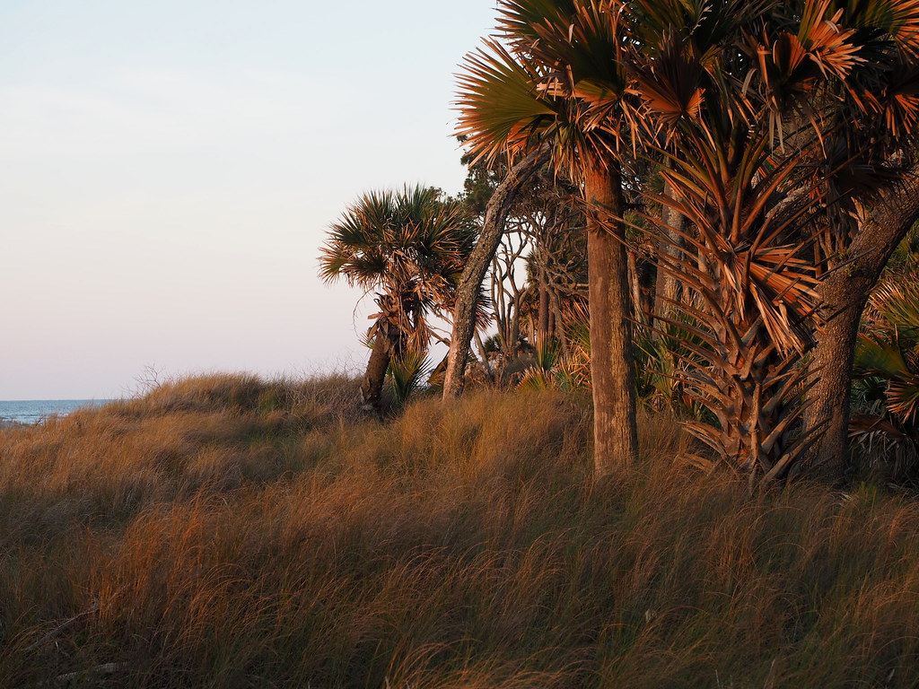Green grass and high tides OLYMPUS DIGITAL CAMERA Flickr