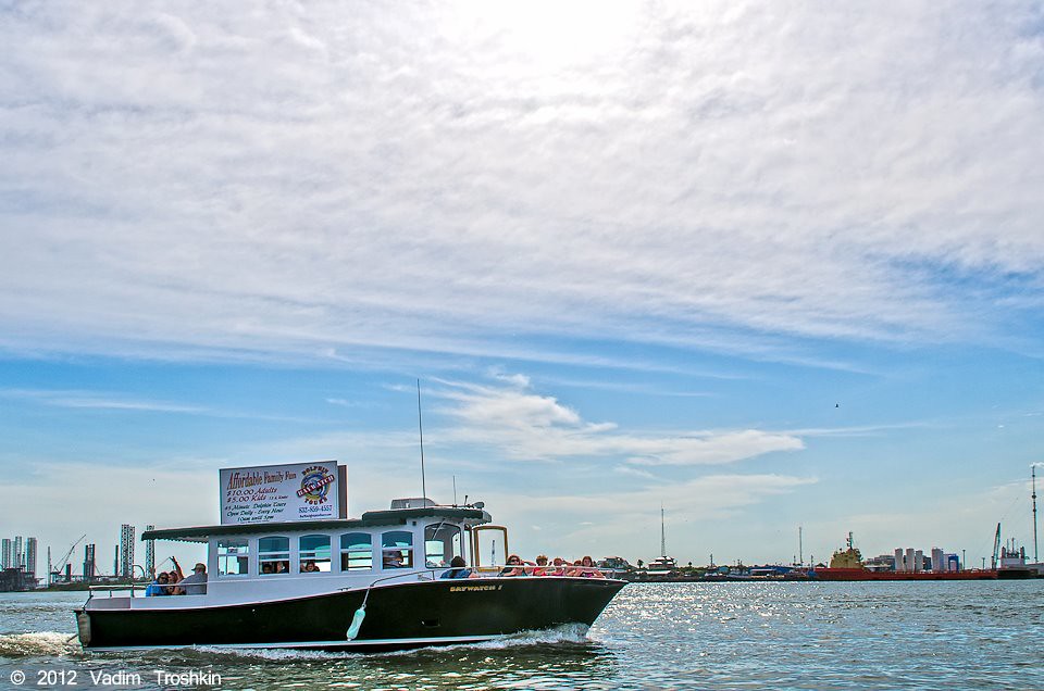 Baywatch Dolphin Tours Flickr