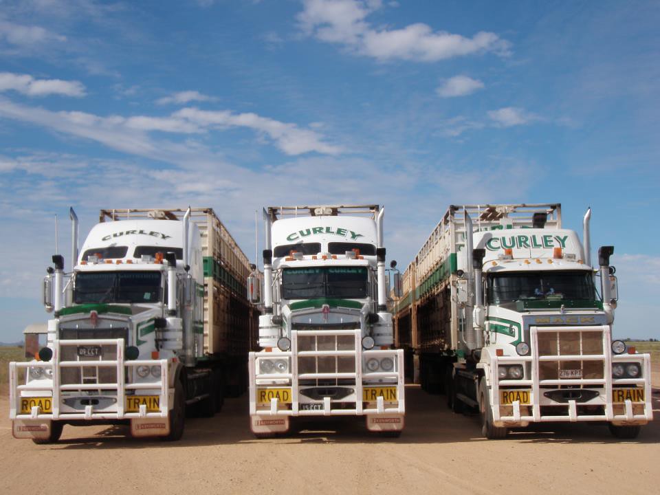 Kenworth t650, Mack titan Curley cattle transport Flickr