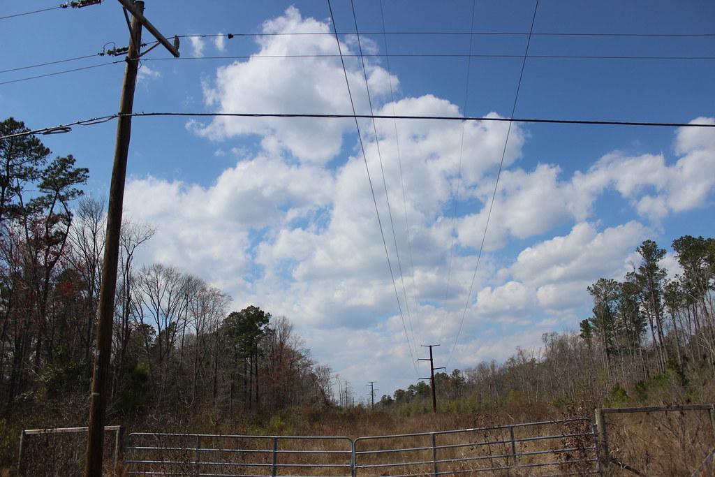 Transmission Guinea Road, Hayes, VA Carmen Shields Flickr