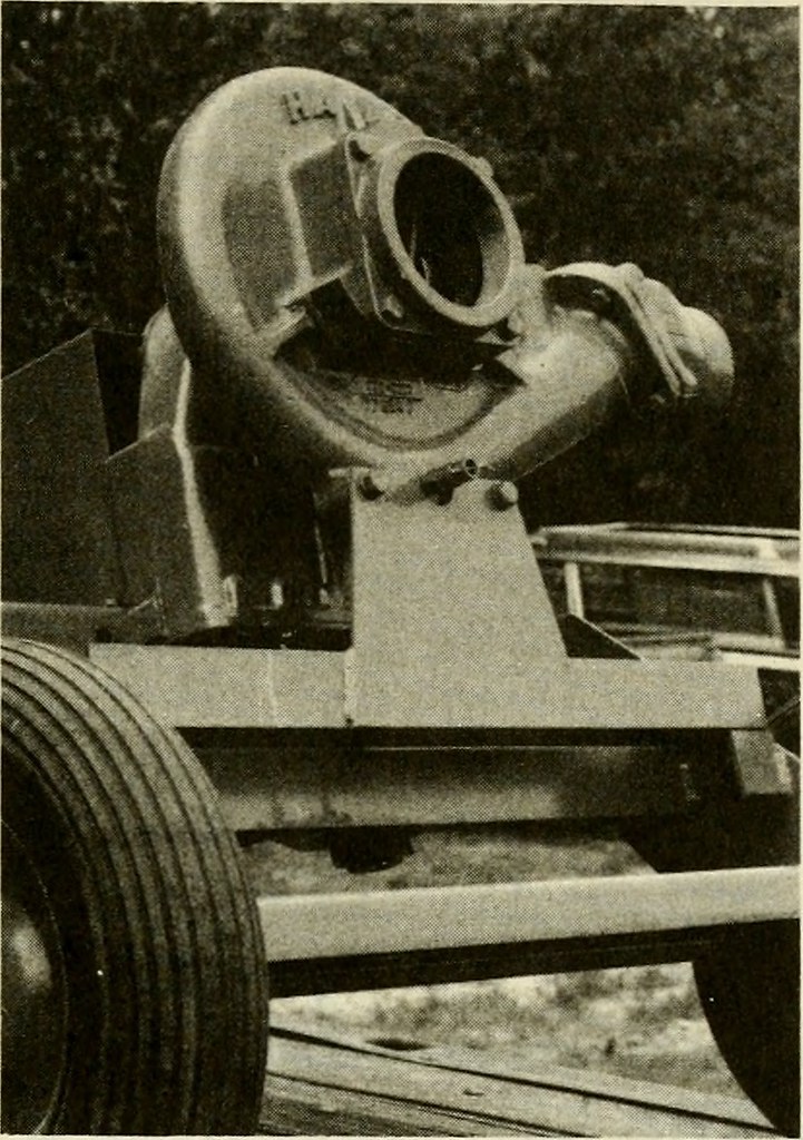 Image from page 336 of "Cranberries; the national cranbe… Flickr