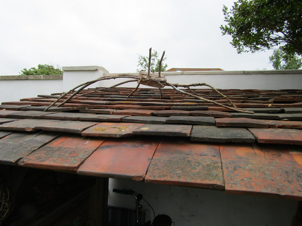 Driftwood spider Willowhayne Avenue, East Preston, West Su… Flickr