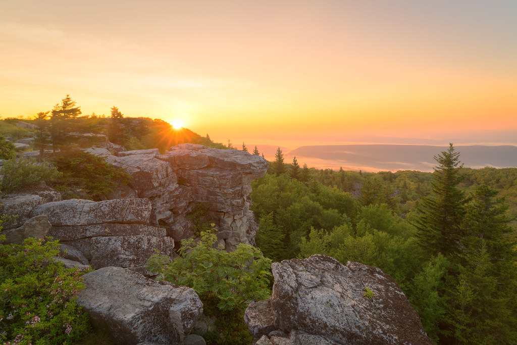 Elevation of Maysville, WV, USA Topographic Map Altitude Map