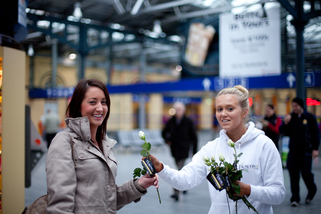Flowers.ie Flickr
