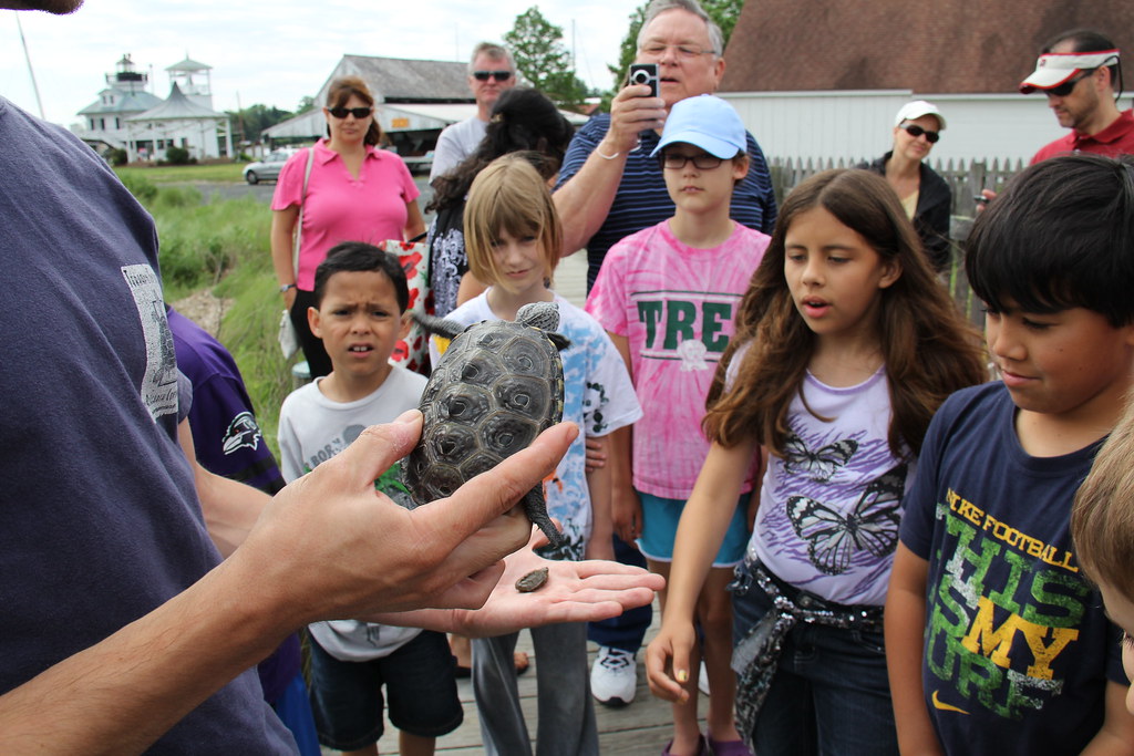 IMG_0102 Triadelphia Ridge Elementary School fourth grade … Flickr