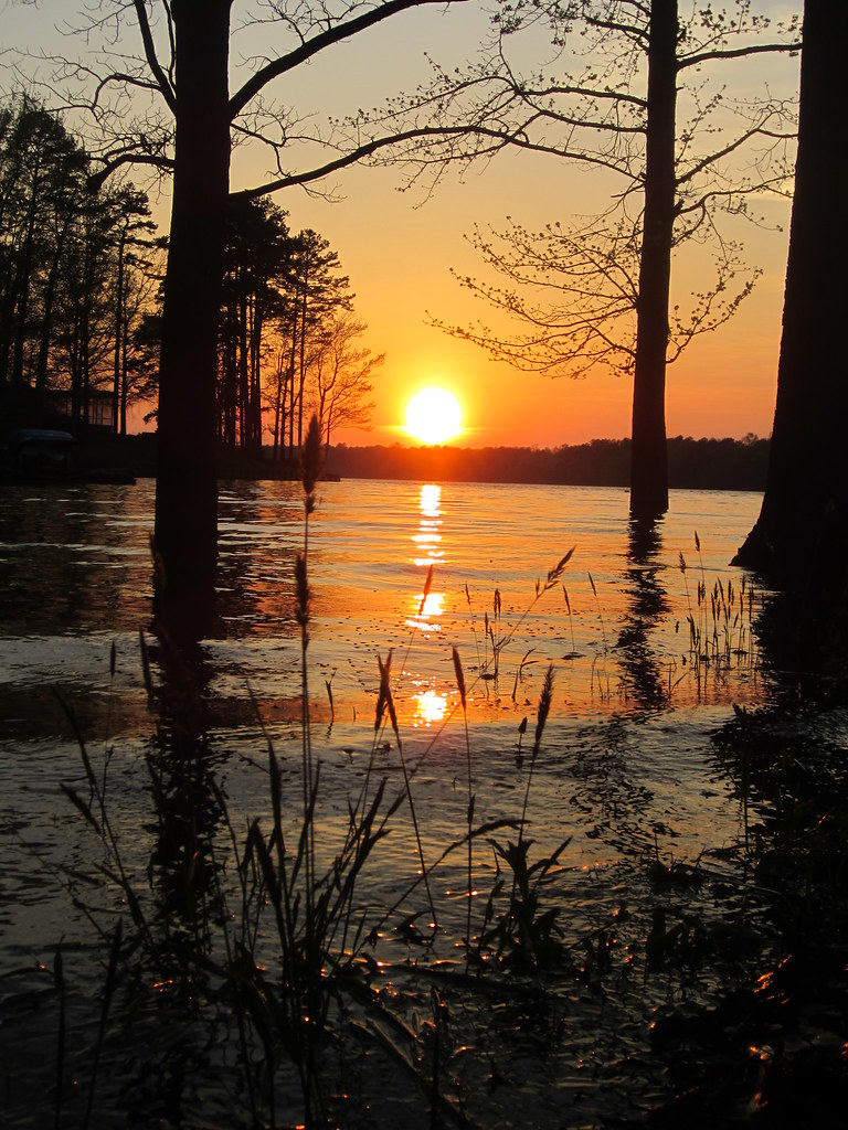 Sunset With the rising lake levels, a lot of grass and tre… Flickr