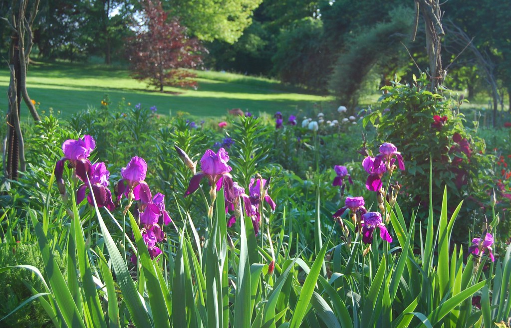 Chanticleer a "Pleasure Garden" near Philadelphia Flickr