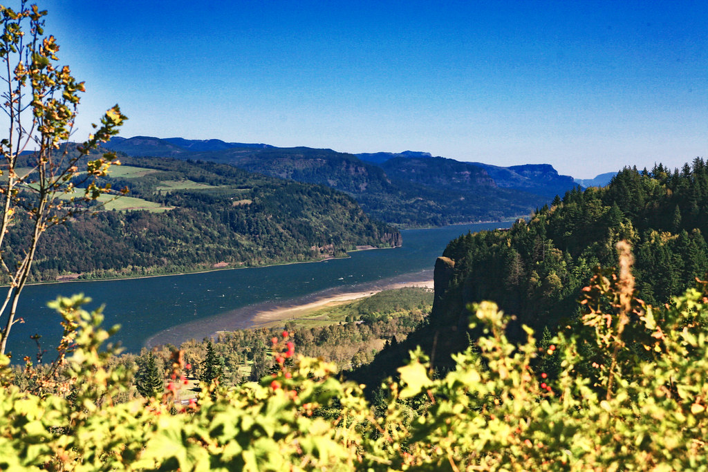 532 Rocklin Lyons Flickr