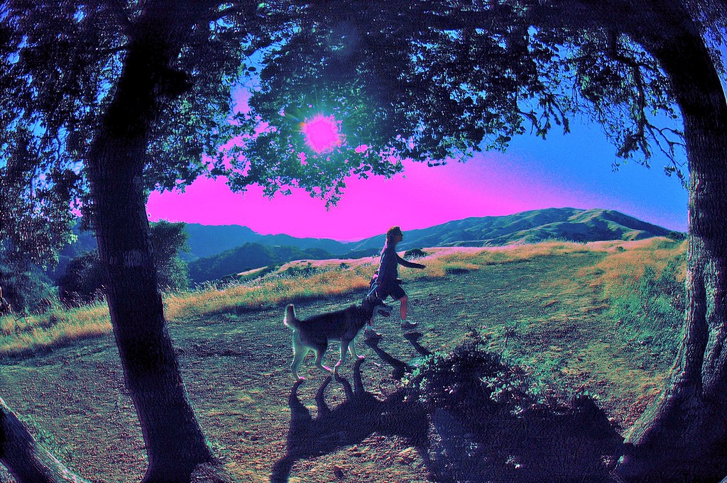 Solar Eclipse, Labyrinth, Fairfax, California MichaelOlsen/ZorkMagazine