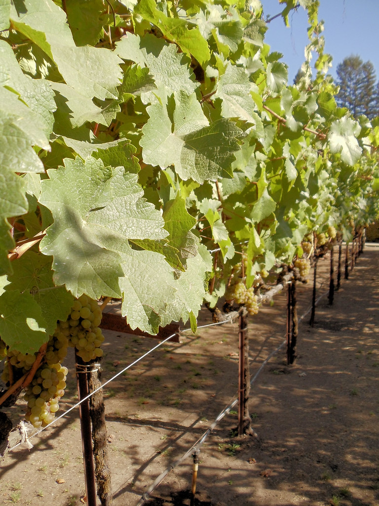 KendallJackson Wine Center, Santa Rosa, California, USA Flickr