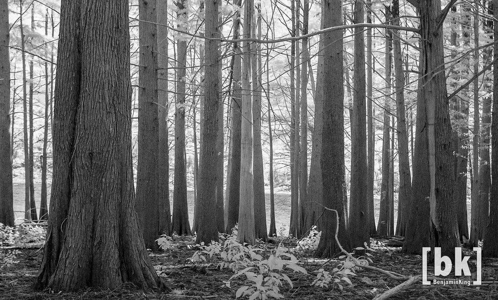 Elevation of AR, Mountain Home, AR, USA Topographic Map Altitude Map