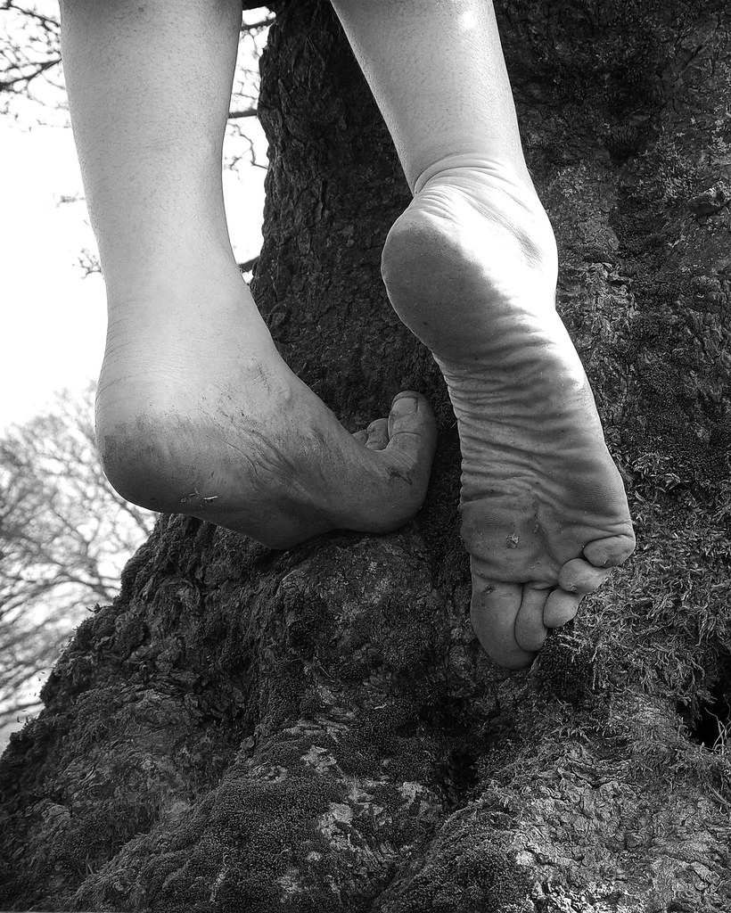 Tree climbing Barefoot tree climbing is so much fun! Barefoot