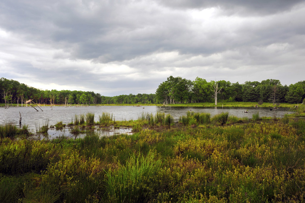 Beaver Run Dam Beaver Run Shallow Water Impoundment, Elk C… Flickr