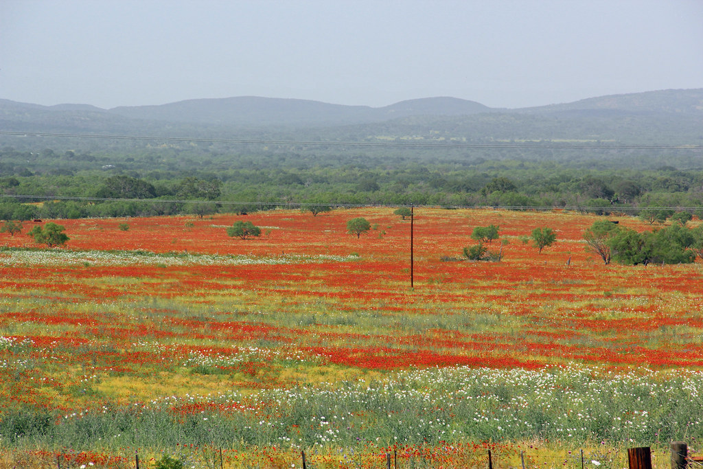 Llano, Kingsland, Northwest Hill Country Flickr