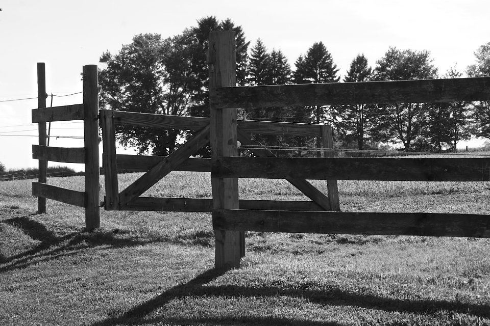 "Enter through the narrow gate. For wide is the gate and b… Flickr