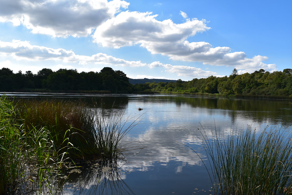 Burton Mill Pond Melissa Warren Flickr