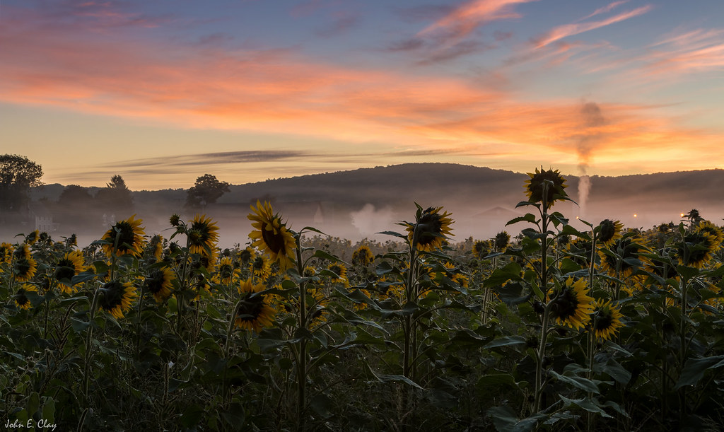 High St W, Manchester, CT アメリカ合衆国日の出日の入り時間