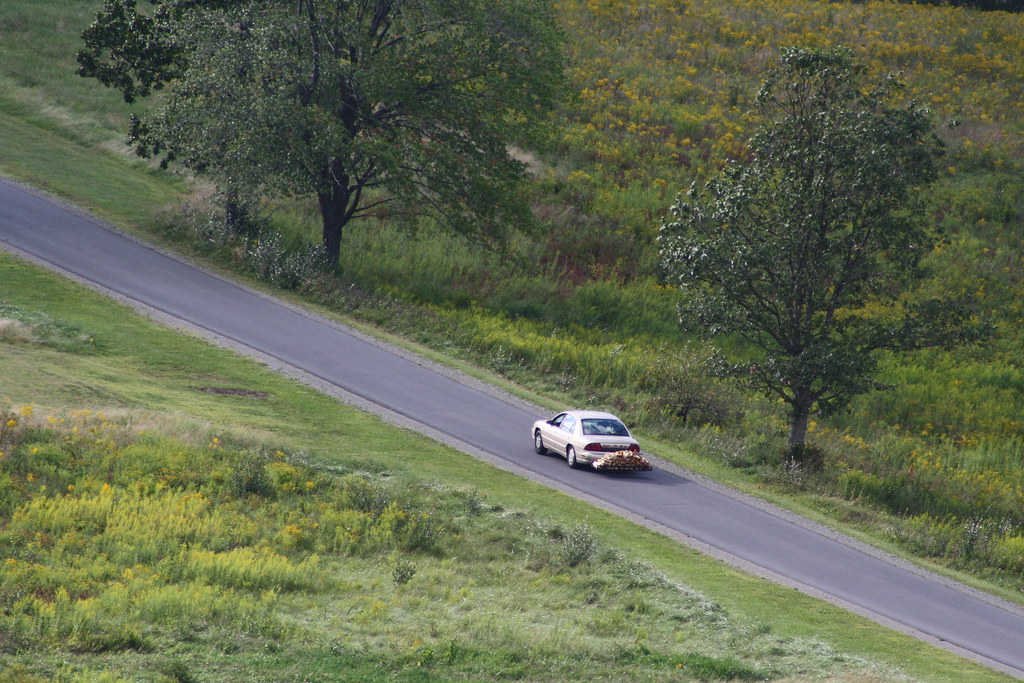 Prince Gallitzin 093to52010 007 photogriffer Flickr