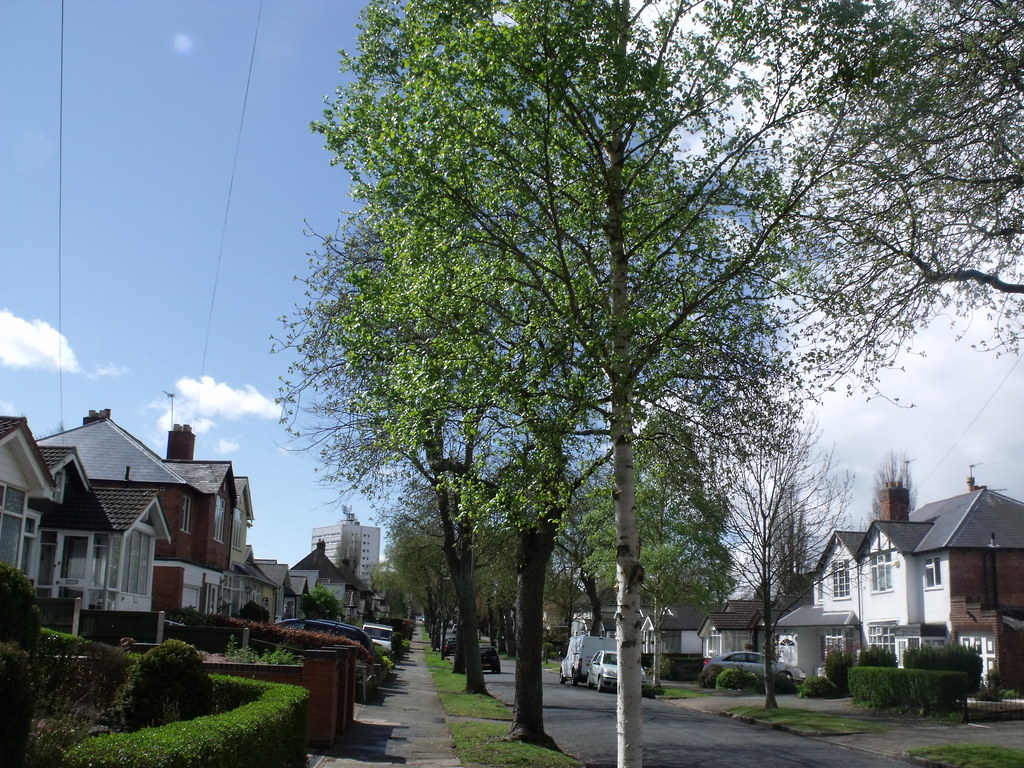 The Austin Village Northfield Hawkesley Drive I went t… Flickr