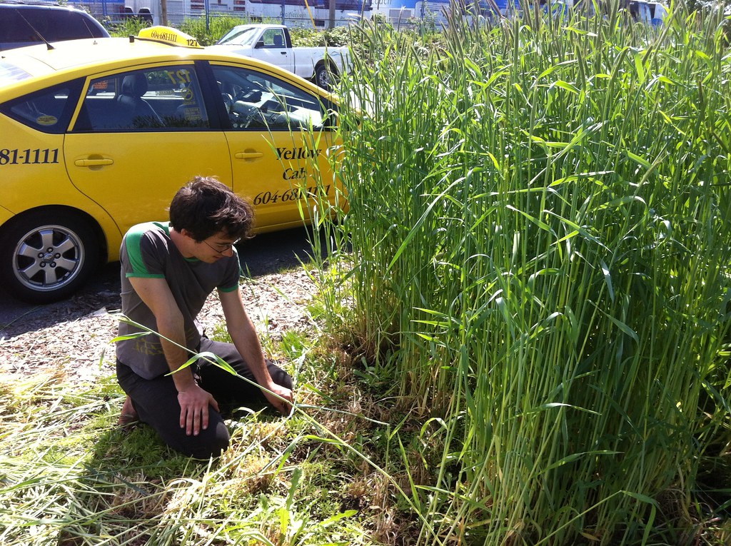 IMG_1008 1 Oliver Kellhammer Flickr