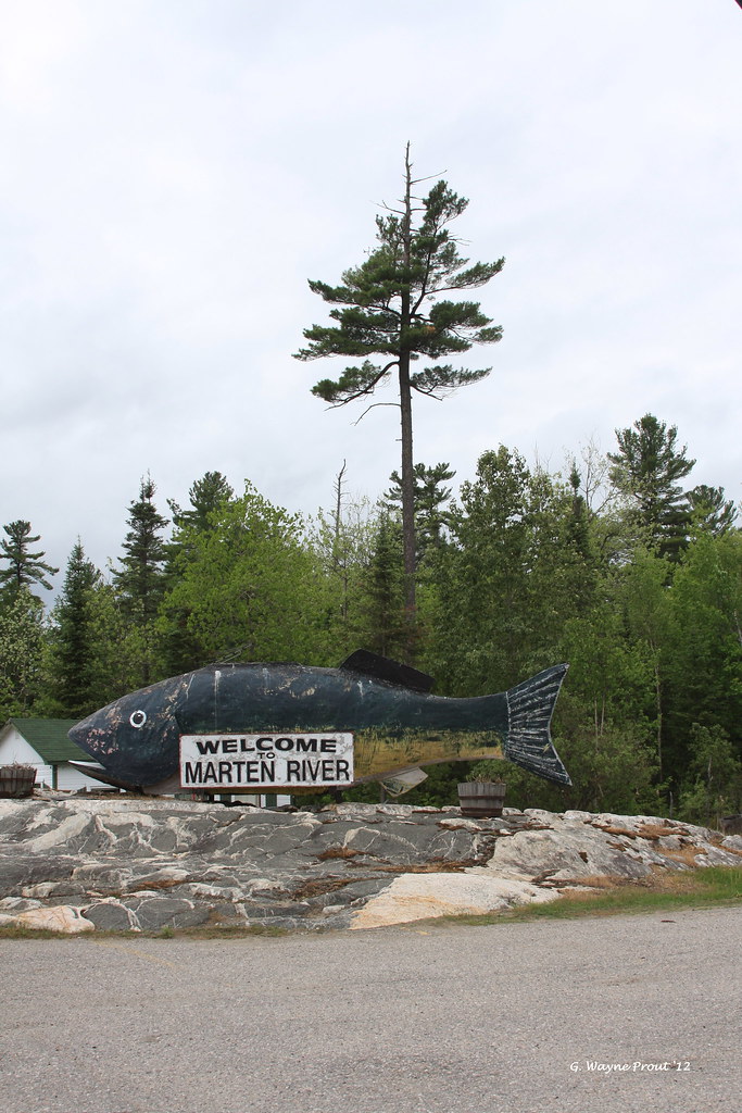 The Big Fish Sculpture at The Rock Pine Motel and Restaura… Flickr