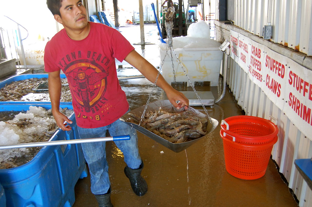 Seafood Shed, weighing shrimp and Carol Terrebone … Flickr