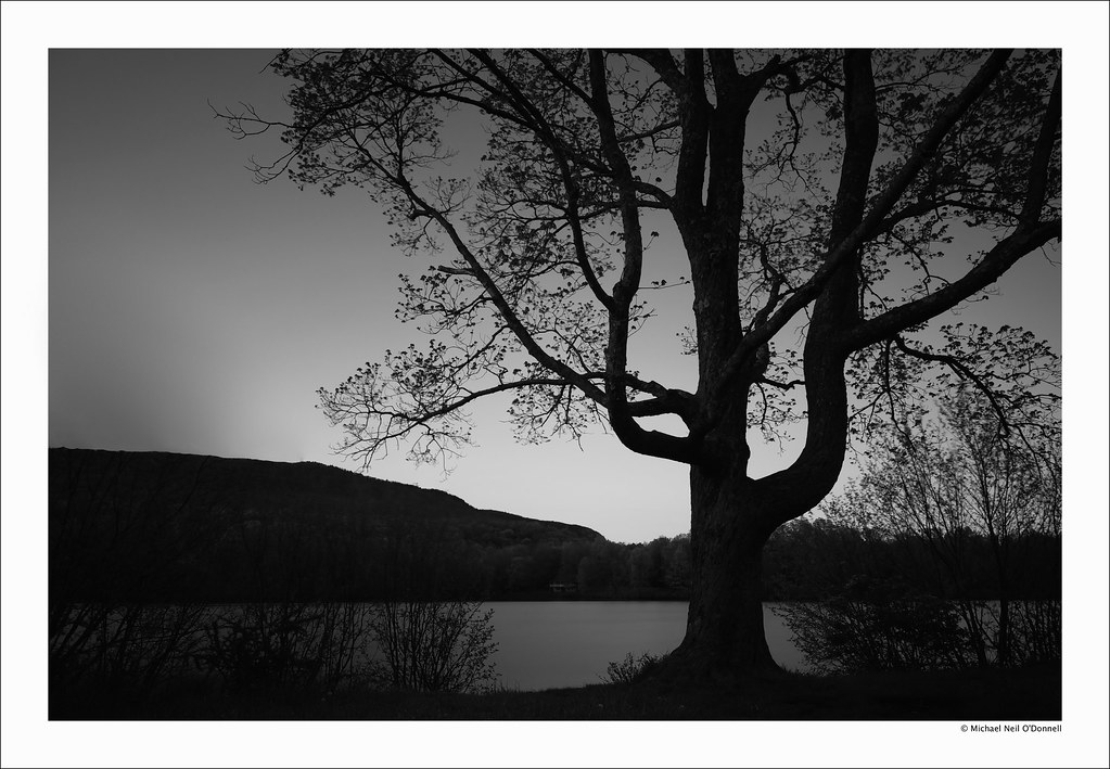 Tillson Lake Tree Tillson Lake, part of Minnewaska State P… Flickr