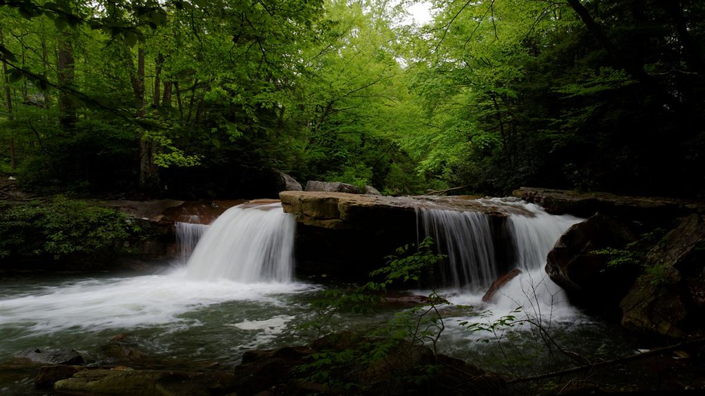 Deckers Creek Headed for the Deckers Creek Rail Trail to e… Flickr