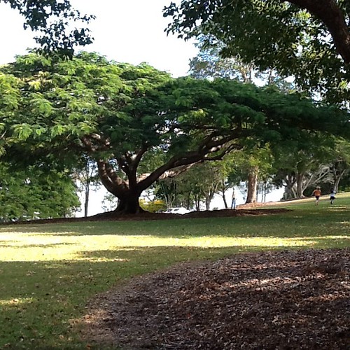 Lake Moogerah Park great place for a picnic Geoff Kirkwood Flickr