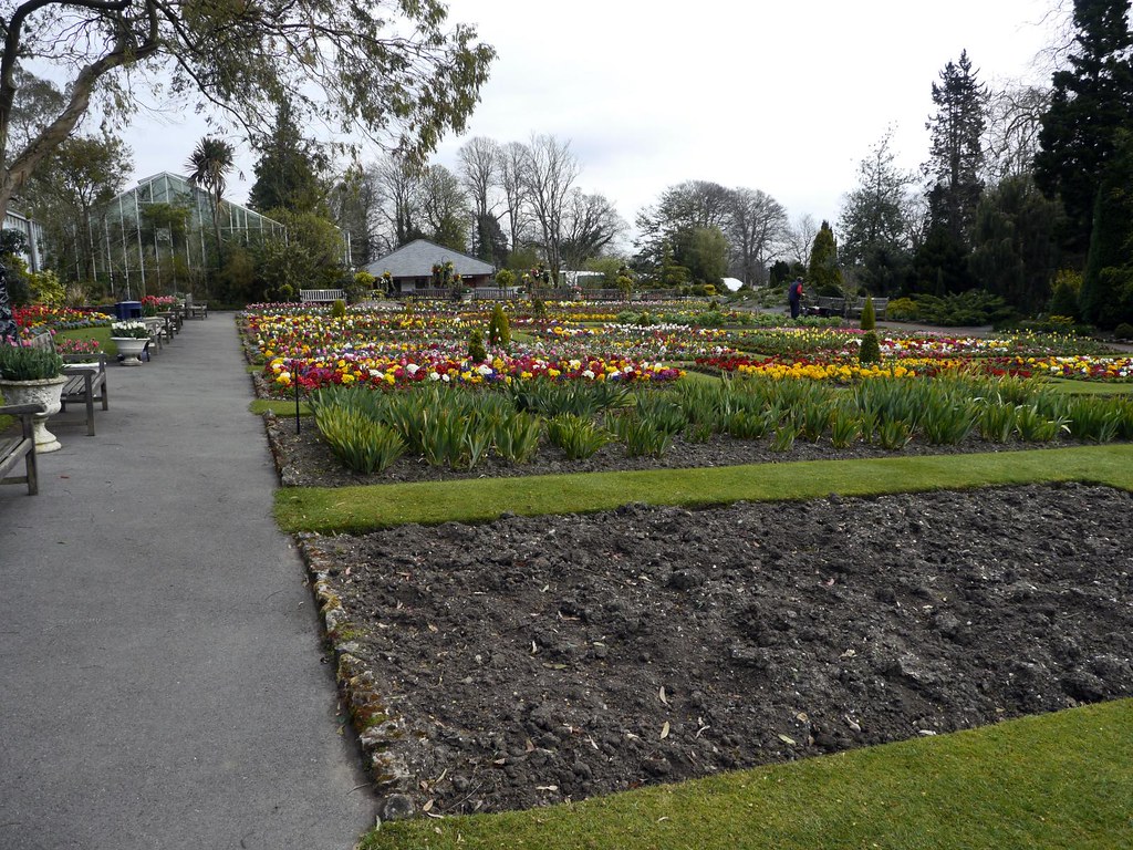 Flowers Swansea Botanical Gardens Singleton Park 5th Apr… Flickr