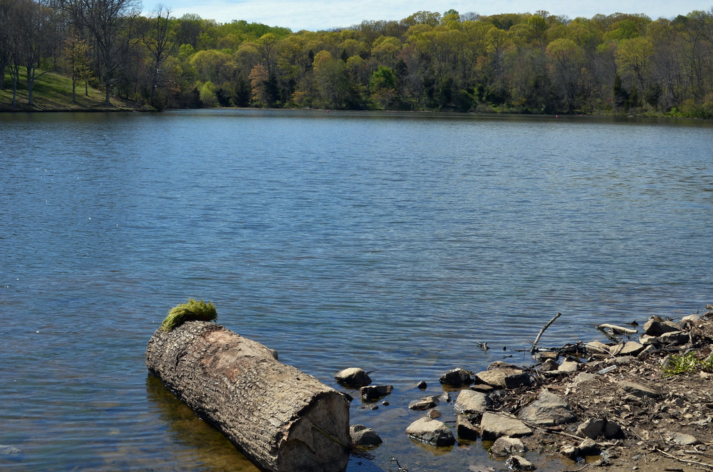 Fairfax Lake Park Wasim Mohammed Flickr