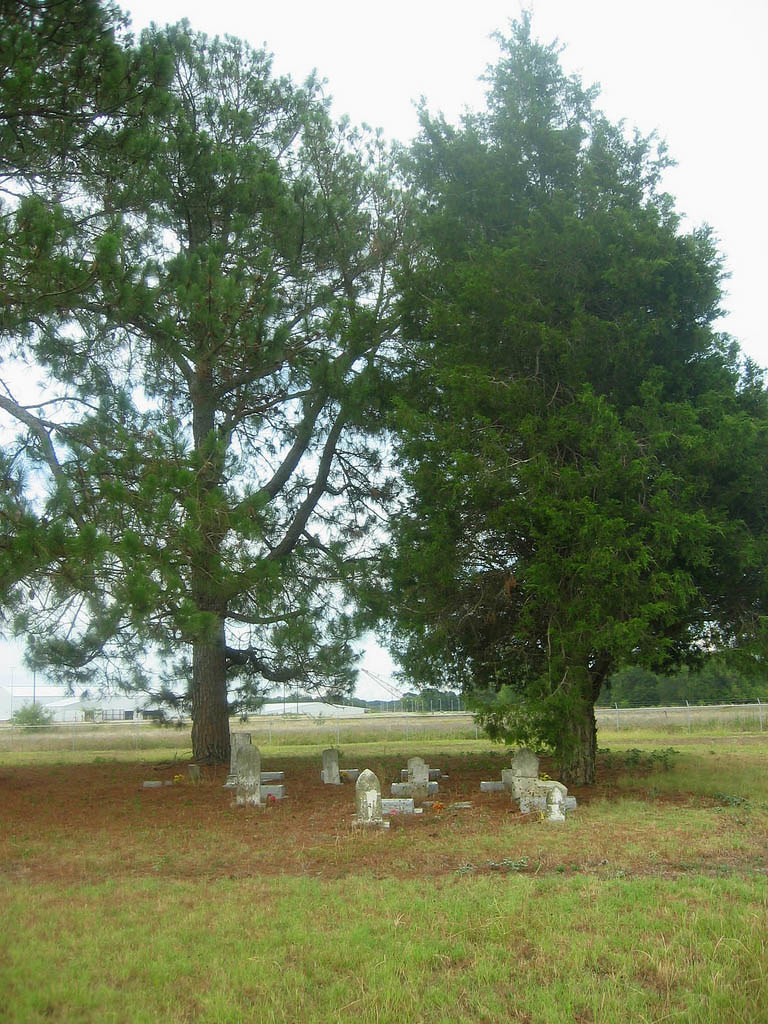 KingWilliams Cemetery near Kosse, Texas This family cemet… Flickr