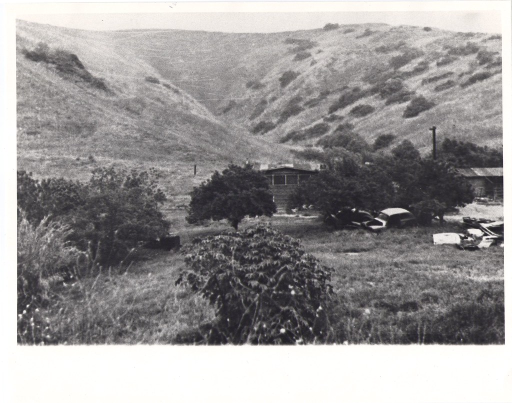 Monterey Hills Flickr