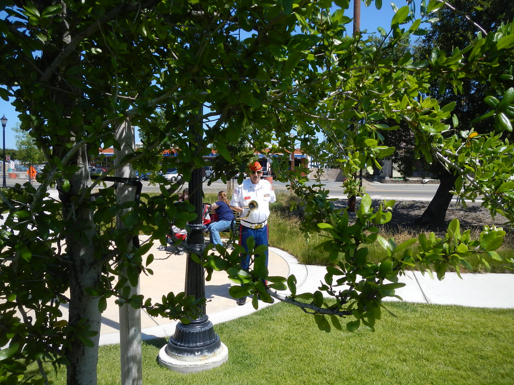 Oakley Memorial Day Oakley Memorial Day sobca Flickr