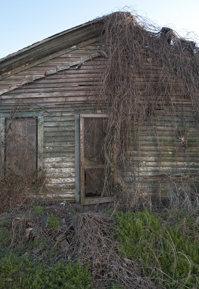 Overtaken Hawkinsville, GA 2012 Emily Earl Flickr