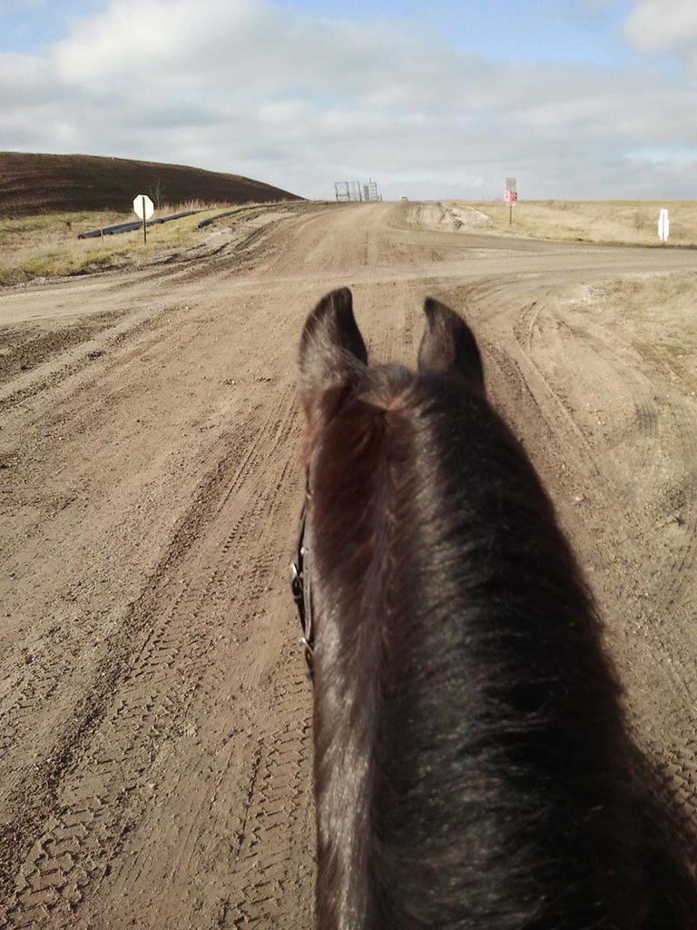 Elevation of Cleveland St, Bicknell, IN, USA Topographic Map