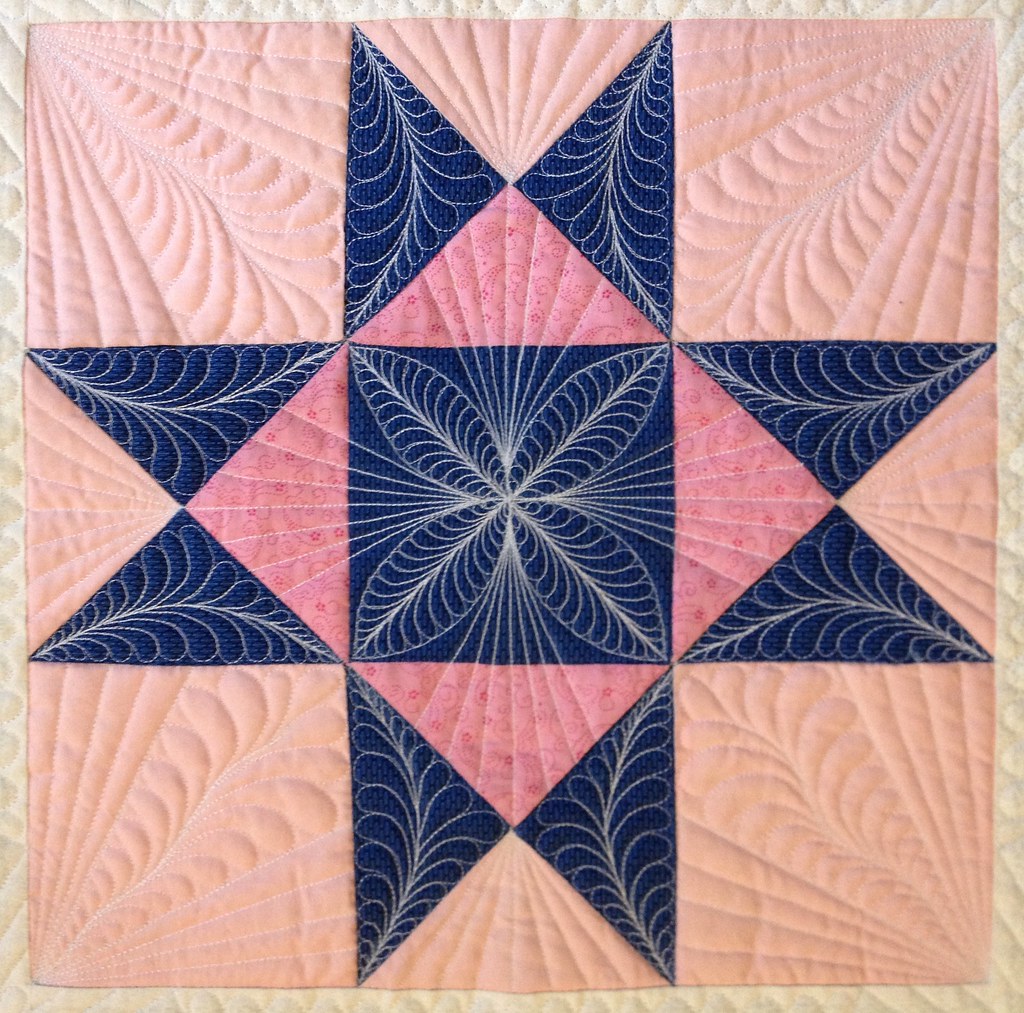 star 1 Radiant Star Close up Geraldine Wilkins Flickr