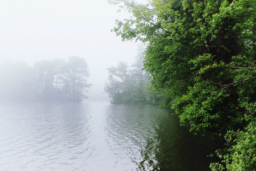 Green and White Heavy fog blanketed the area today. Usuall… Flickr
