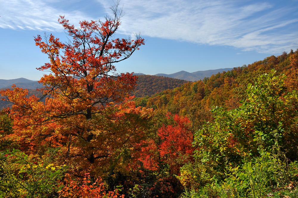 Wash Creek Valley Overlook Blue Ridge Parkway, Milepost … Flickr