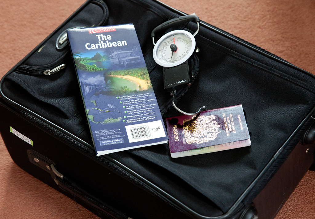 234/365 ODC2 Scale. How much does the luggage weigh? Flickr